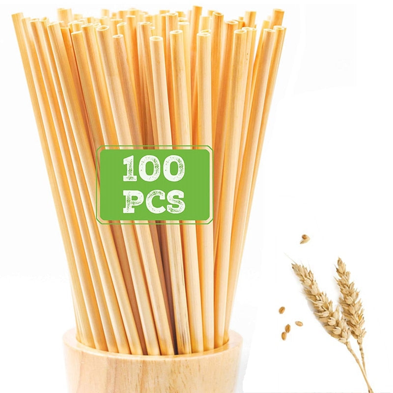 Lot de 100 Pailles Écologiques