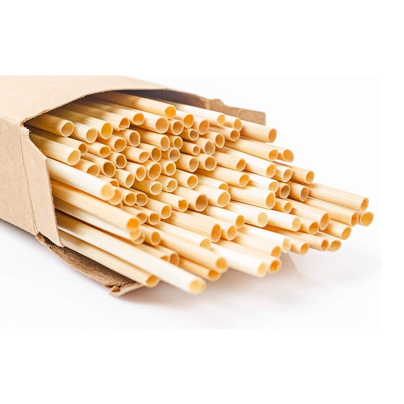 Lot de 100 Pailles Écologiques