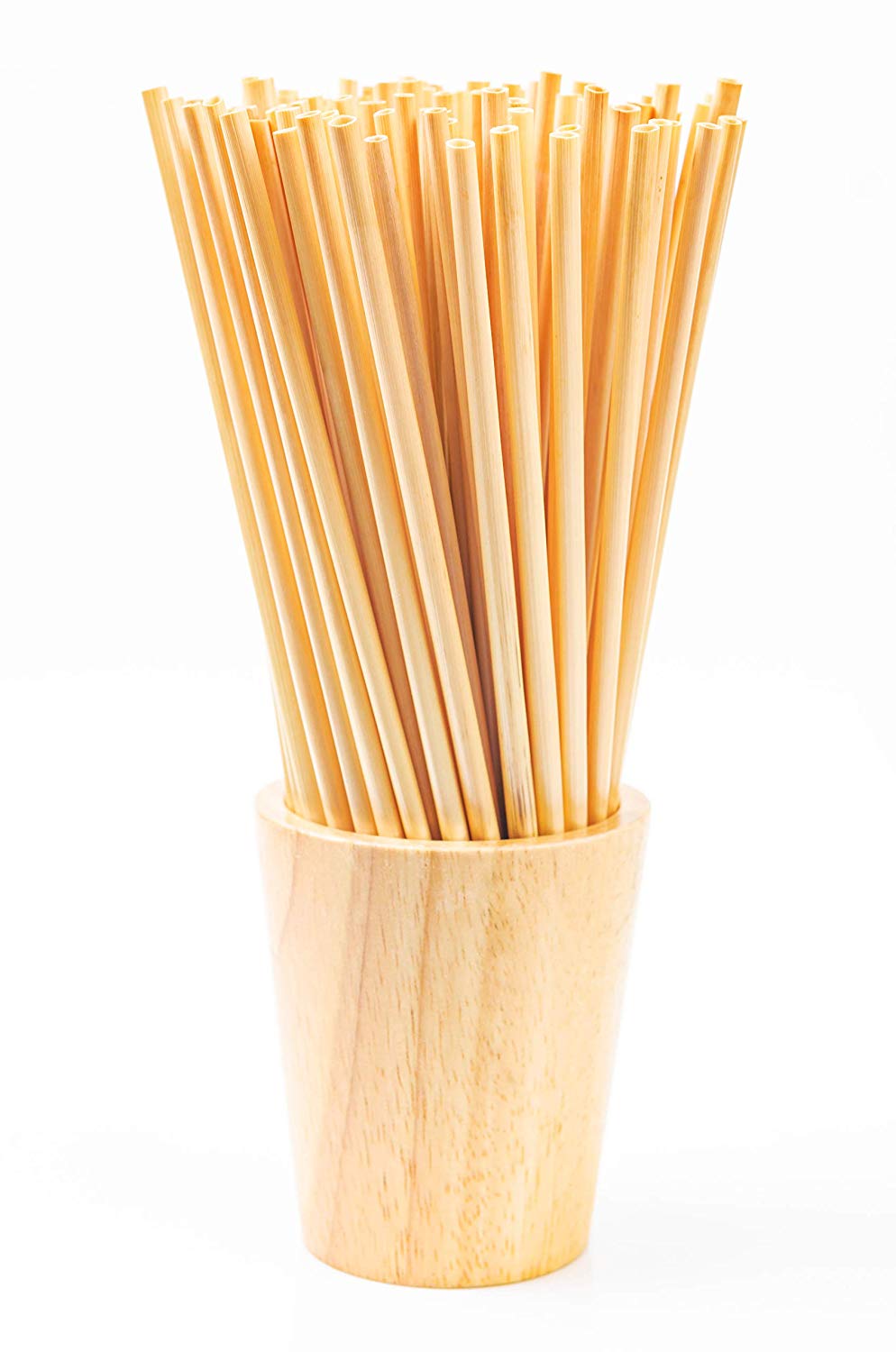 Lot de 100 Pailles Écologiques