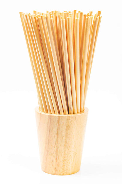 Lot de 100 Pailles Écologiques