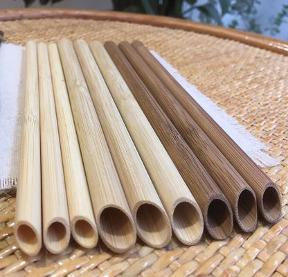 Lot de 10 pailles en bambou réutilisables