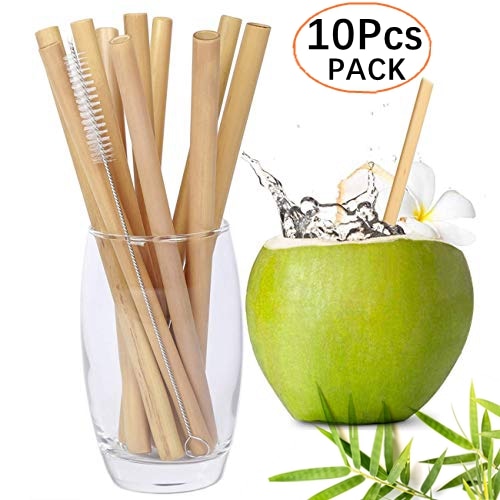 Lot de 10 pailles en bambou réutilisables